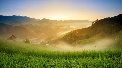 Scenic view of field and mountains against clear sky