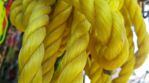 Close-up of yellow rope