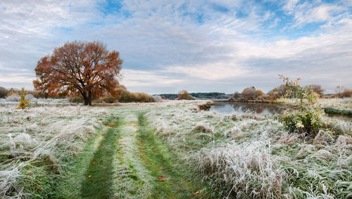 Scenic view of lake against sky