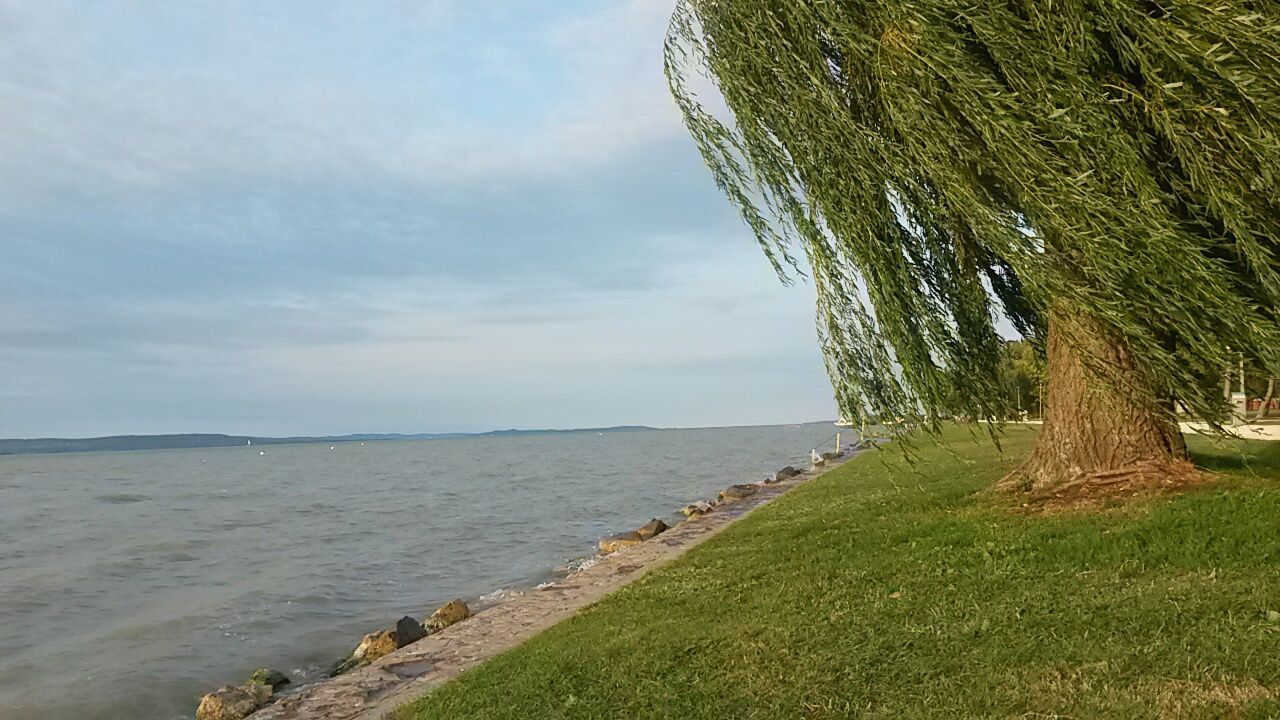 sky, sea, tranquility, tranquil scene, water, beach, nature, scenics, grass, green color, horizon over water, beauty in nature, tree, cloud - sky, growth, shore, cloud, day, idyllic, outdoors