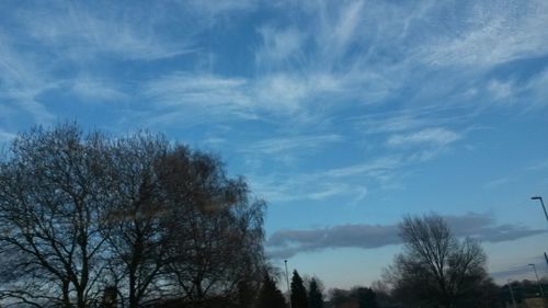 Low angle view of bare trees against cloudy sky