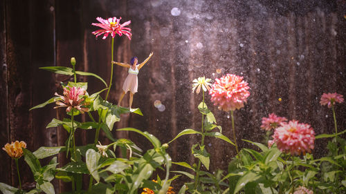 Flowers growing at night