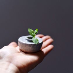 Cropped image of hand holding leaf over white background