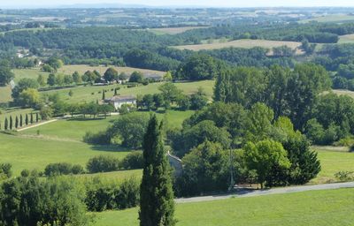 Scenic view of agricultural field against sky