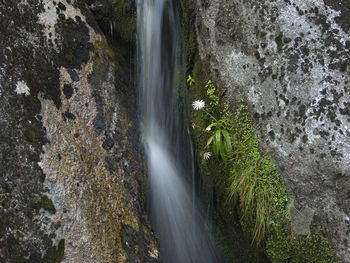 Scenic view of waterfall