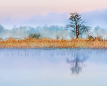 Scenic view of lake against sky