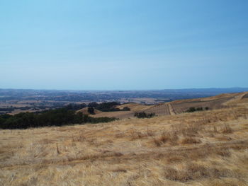 Scenic view of landscape against clear sky