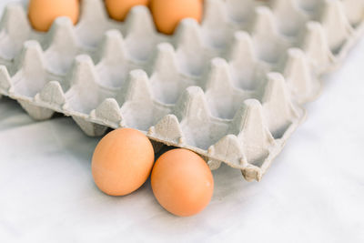 High angle view of egg on white background