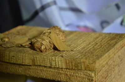 Close-up of crab on wood at home