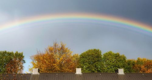 Rainbow over trees against sky