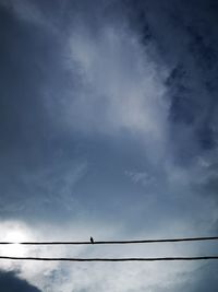 Low angle view of birds perching on cable against sky