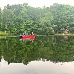 Scenic view of lake against trees
