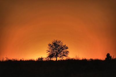 Silhouette trees on landscape against orange sky