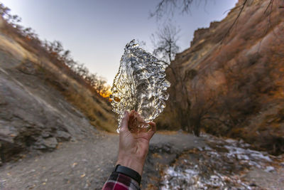 Person hand holding plant against mountain