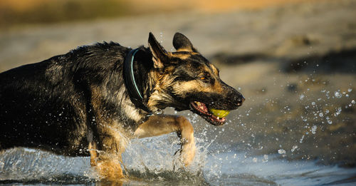 Close-up of wet splashing water