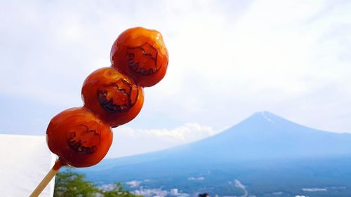 Close-up of pumpkin on mountain against sky