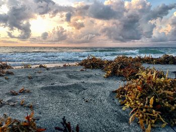 Scenic view of sea against cloudy sky