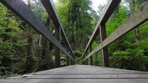 Footbridge amidst trees in forest