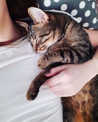 Midsection of cat with hand on table