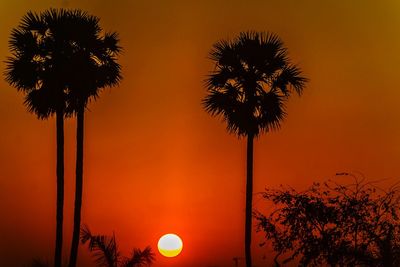 Low angle view of silhouette palm trees against orange sky