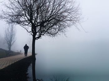 Rear view of man walking on walkway by lake in park under foggy weather