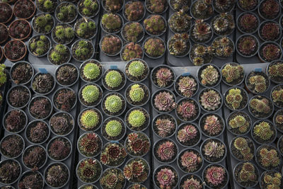 Full frame shot of patterned wall