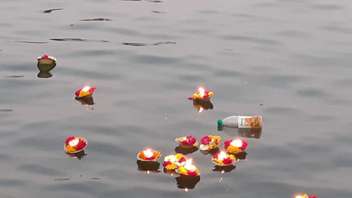 High angle view of ducks floating on lake