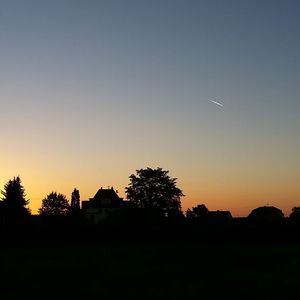 Silhouette of trees at sunset