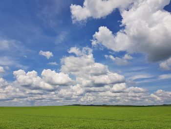 Scenic view of field against sky