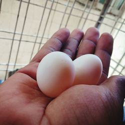 Close-up of hand holding eggs