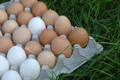 Close-up of eggs in carton on grassy field