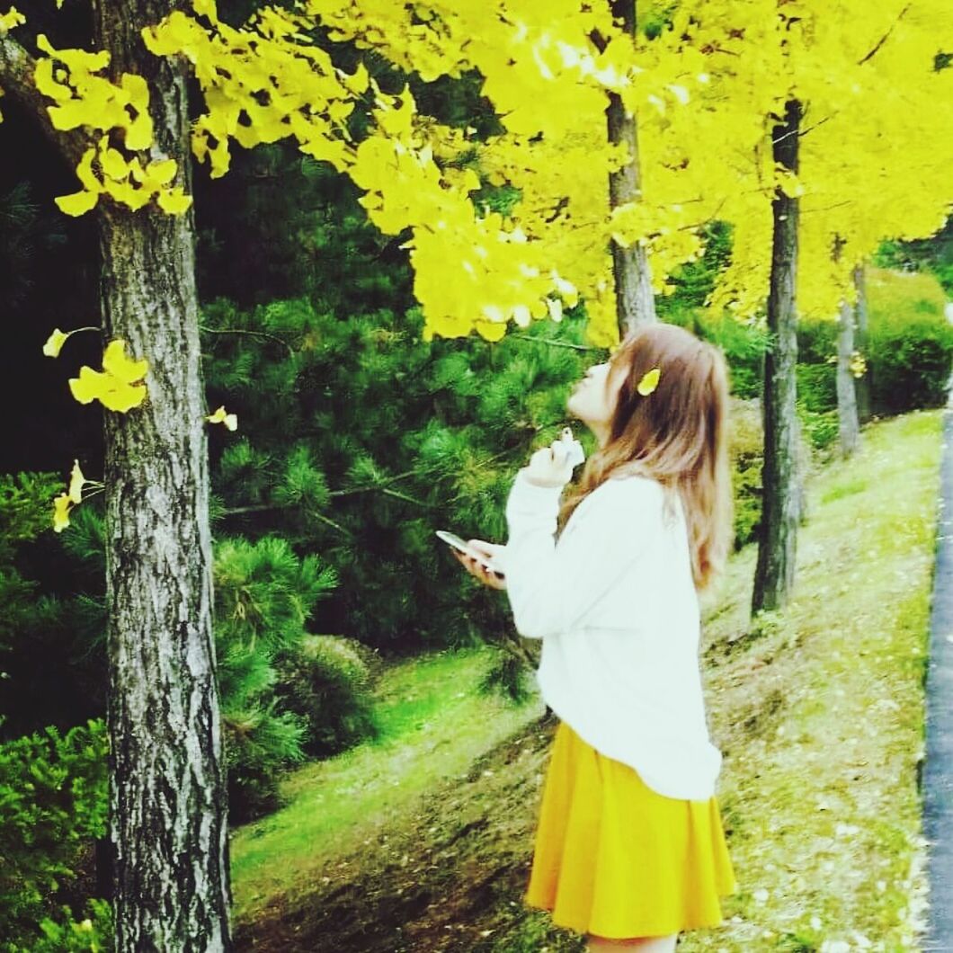 yellow, tree, flower, growth, rear view, standing, nature, field, plant, beauty in nature, full length, park - man made space, outdoors, day, freshness, walking, tree trunk, leaf