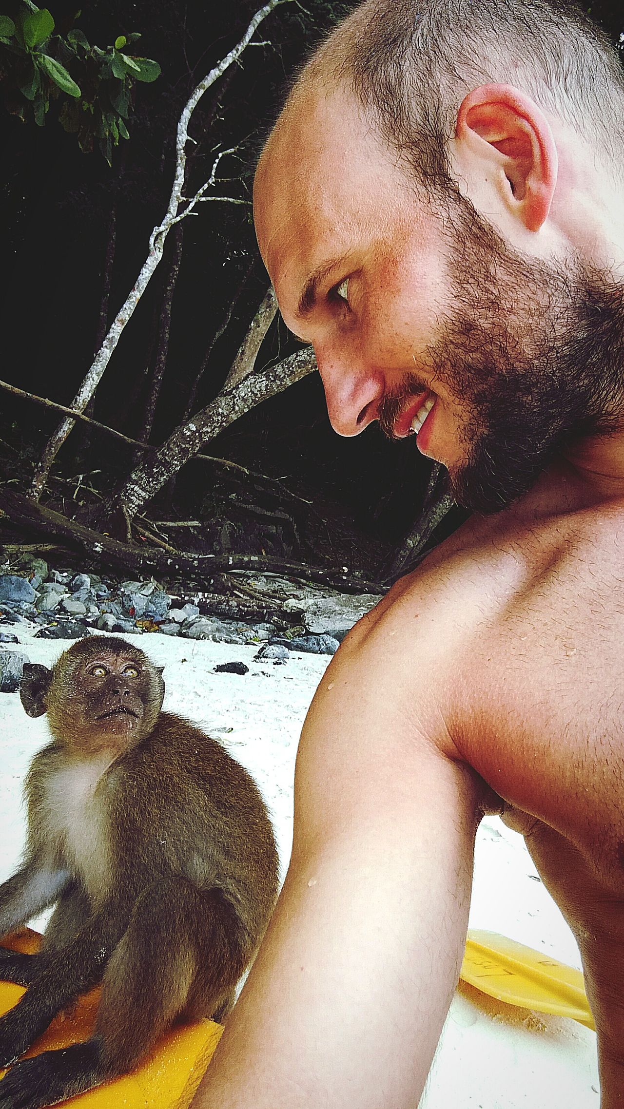 Monkey beach koh phi phi