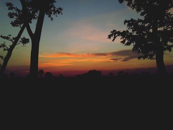 Silhouette trees at sunset