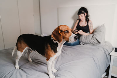 Man with dog sitting on bed at home