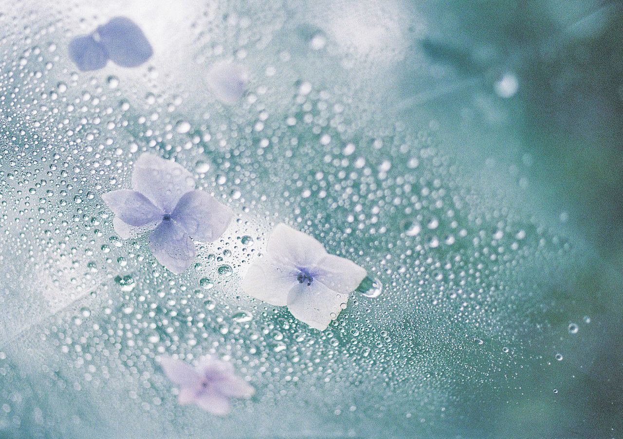 CLOSE-UP OF FROZEN WATER DROPS ON GLASS