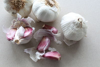 High angle view of garlic on table