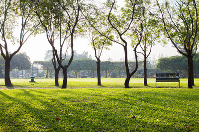 Park bench on field