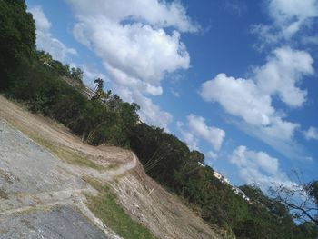 Road by trees against sky