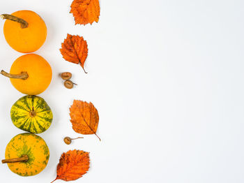 High angle view of orange leaves on white background