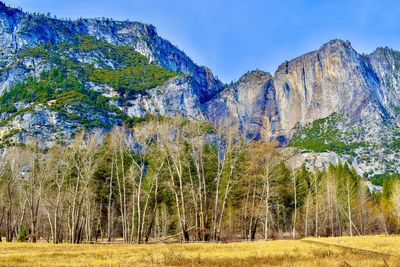 Panoramic  colorful view of  forest and mountain landscape against sky