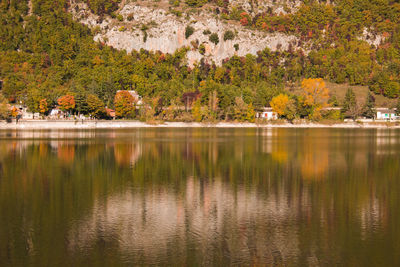 Reflection of trees in lake water