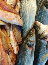 Close-up of fish for sale in market