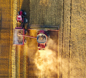 High angle view of people working at farm