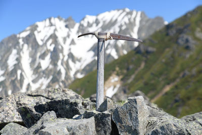 Low angle view of plant on rock against sky