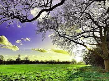 Trees on grassy field