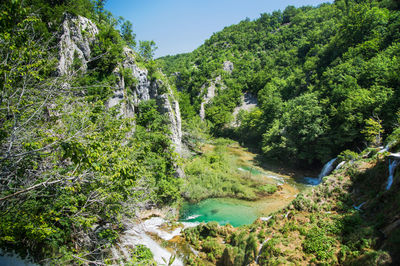 Scenic view of waterfall in forest