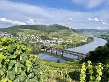 Ein spaziergang zum prinzenkopfturm mit blick auf die mosel und die bullayer brücke.