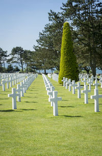 View of cemetery