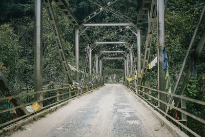 Empty road amidst trees